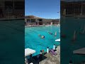 10-12 Int. Team Swim 2 (2/5/22)