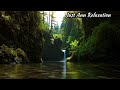 Calming sounds of nature | waterfall & soothing sounds of birds for relaxation & stress relief