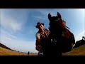 A day on the volcano. Fun on horse. Wonderful nature.