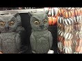 Target 2015 - Animated Owl