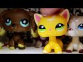 LPS - Trade Package From lpsforever4! ♥