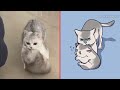 Inside Out 2: Hilarious Cats and Dogs Memes😂