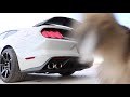 Pure Voodoo Magic! 2017 Shelby GT350R exhaust sound!