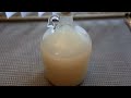 How to make Alcohol at Home (Ethanol)