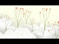 Laufey - Valentine (Official Audio)