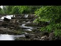 Forest Waterfall Nature Sounds-Relaxing Bird Sound-Soothing Water Flowing & Calming Birds Chirping