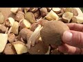 The Best Way to Prepare Your Potatoes to Plant