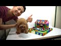 DIY - How To Make Amazing Dog House with Magnetic Balls (ASMR) | Magnetic Man 4K