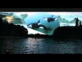 Orca Encounter Doesn't Go to Plan (Full-ish Show)