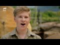 Robert Irwin Wrangles His First Ever Wild Rattlesnake | Crikey! It's The Irwins