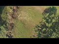 Wildlife Fpv Freestyle