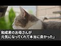 【感動する話】正体を隠しある企業に中途入社した53歳の俺。ある日、海外本社からCEOが来社。「君は…」年下課長「こいつは雑用係ですw」→するとCEO「君は誰に言っているか分かっているのか？」「え？」