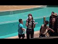 Megan the charismatic mime from SeaWorld Orlando 😂🤣 Megan the mime #meganthemime #seaworldmime