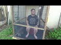 Building A DIY Outdoor Catio (Cat Patio)