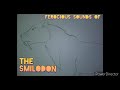 The Ferocious sounds of The Smilodon