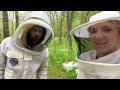 How We Are MATING 1,000 QUEENS! Beekeeping 101 / #beekeeping