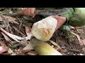 15 days of harvesting fruits and bamboo shoots to sell at rural markets