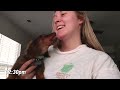 morning vlog with a puppy//productive routine now that I have a new puppy