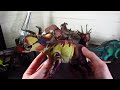 Beasts of the Mesozoic Ceratopsians are AMAZING | Full Review of 8 Figures