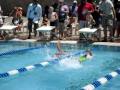 Caymen (purple & green) swimming Freestyle  at Lifetime