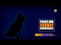 Police Dog Subway Criminals (by Vital Games Production) Android Gameplay [HD]