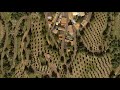 Cities Skylines: Provincia Calvino - EP01 - The First Village