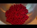 Making juice from mystery berries