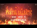 VESTUL SALBATIC - SAORMERIA (MAIDAN ❌ 99 ❌ CARTIER) | prod. Endru