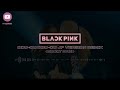 BLACKPINK - '뚜두뚜두 (DDU-DU DDU-DU) -JP.- REMIX' Concert Sound 🎧