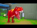 Giant Black TRex Protects and Rescues Eggs from Other Dinos | Heartwarming Dinosaur Cartoons