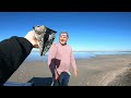 SHELLS and LIFE on a Beach...  Our New Friend FRED SANDERLING Led us to Lots of Beach Finds to Share