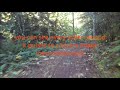 running with omnihertz #2 - gimbal test in the watershed #running #trailrunning