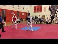 Lone Wolf Taekwondo Tournament 2017 - Match 2 round 3, part 2