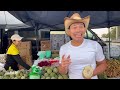 CHỢ TRỜI Của Cộng Đồng CHÂU Á Ở Clearwater, Florida | Asian Community FRESH MARKET | LuuLinh TV