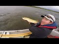 Pike Fishing  Chaos In Scotland!