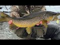 Trout Fishing Pennsylvania in the Winter (2020) #mepps #trout #fishing