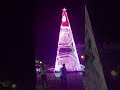 A Big Christmas tree at Nccc mall vp