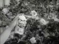 1950's Raid Home and Garden Bug Spray Commercial