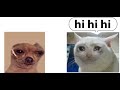 Crying Doge vs Crying Meow (epic rap battle)