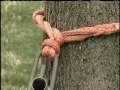 Timber Hitch