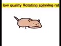 Low quality Rotating rat