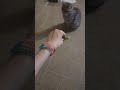 Twyla loves a bracelet