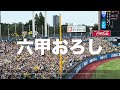 【東京でも圧倒的大声援！応援歌集】阪神タイガース（2024）明治神宮野球場