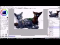 Jayfeather and Briarlight (Warrior Cats Speedpaint)