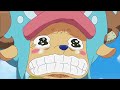 WatchAtYourOwnRisk:TOO MUCH CUTENESS | One Piece Chopper |