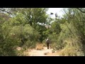 Big Bend National Park: A Great Place for Birds