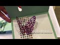 Interactive Butterfly Card Demo