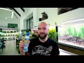 The Dwarf Danio Stream: 2ft Aquarium Tutorial