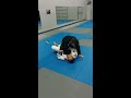 Caio Terra Seminar 8/24/14 DLR