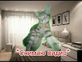 Первое сентября (котики)